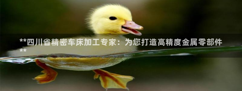 彩神平台可以破解吗