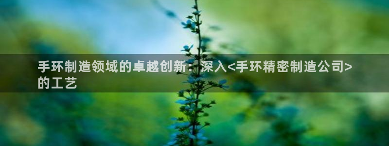 彩神大发官网：手环制造领域的卓越创新：深入<手环精密制造公司>
的工艺