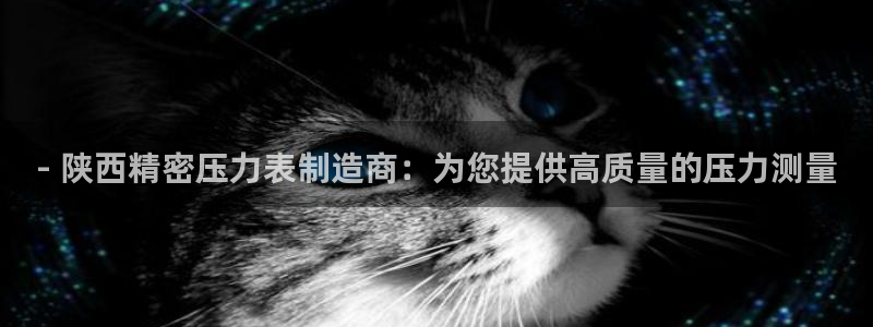 彩神v8是真的挣钱吗：- 陕西精密压力表制造商：为您提供高质量的压力测量