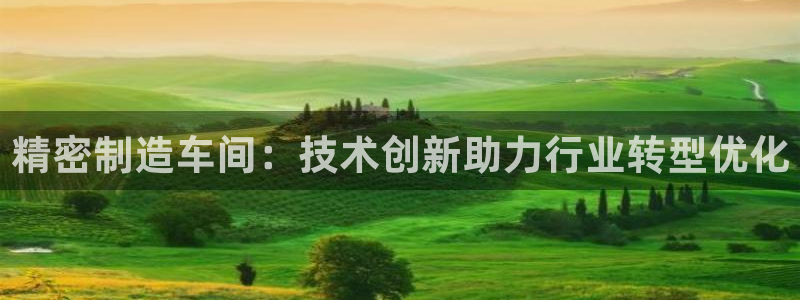 彩神8最新版下载：精密制造车间：技术创新助力行业转型优化
