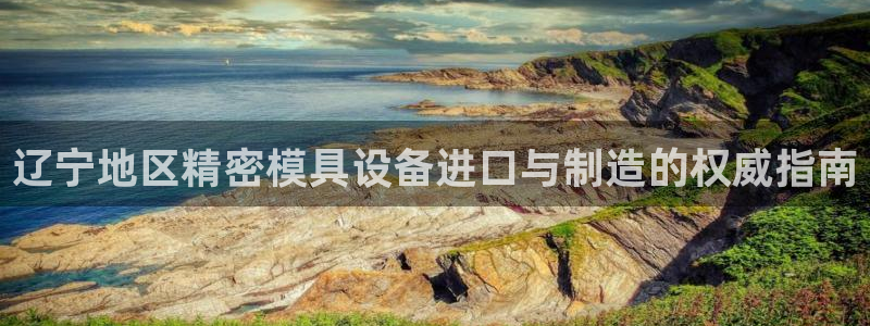 彩神购彩-购彩大厅入口36fr：辽宁地区精密模具设备进口与制造的权威指南