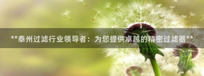 彩神争霸官网登录平台：**泰州过滤行业领导者：为您提供卓越的精密过滤器**