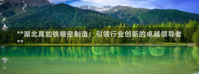 彩神vip购彩大厅在哪：**湖北真如铁精密制造：引领行业创新的卓越领导者
**