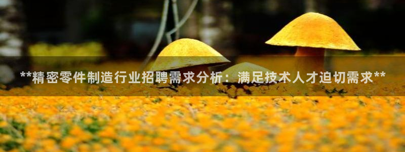 彩神购彩购彩大厅入口v：**精密零件制造行业招聘需求分析：满足技术人才迫切需求**