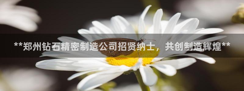 彩神iv争霸购彩大厅：**郑州钻石精密制造公司招贤纳士，共创制造辉煌**