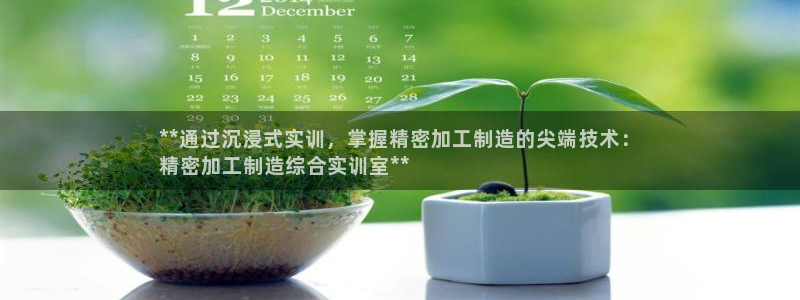 彩神VI首页：**通过沉浸式实训，掌握精密加工制造的尖端技术：
精密加工制造综合实训室**