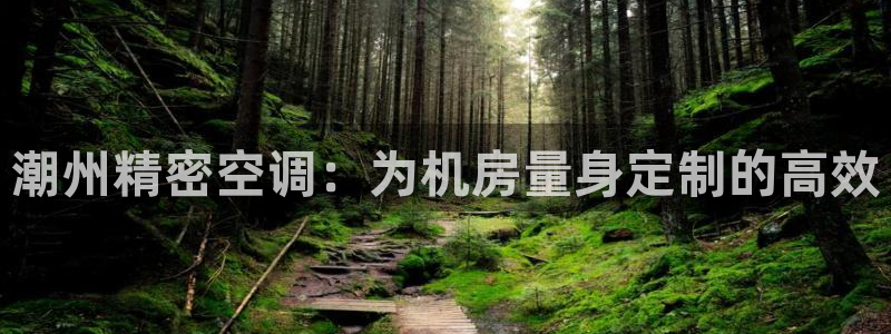 彩神争霸官网登录平台：潮州精密空调：为机房量身定制的高效