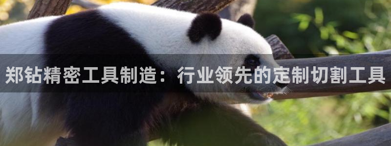彩神viii下载安卓：郑钻精密工具制造：行业领先的定制切割工具