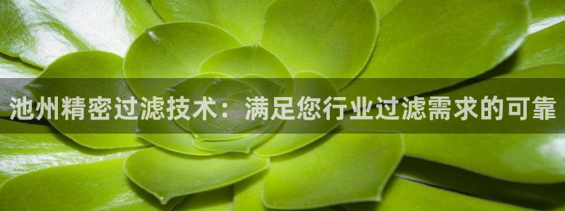 彩神V8平台：池州精密过滤技术：满足您行业过滤需求的可靠