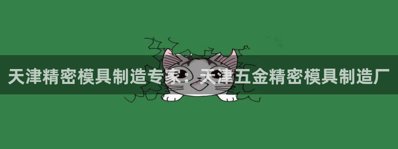 彩神ii官方网：天津精密模具制造专家：天津五金精密模具制造厂