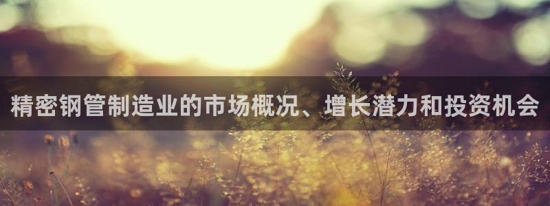 彩神VII购彩中心：精密钢管制造业的市场概况、增长潜力和投资机会
