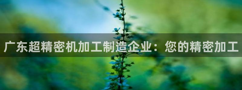 彩神v8平台正规吗安全吗：广东超精密机加工制造企业：您的精密加工