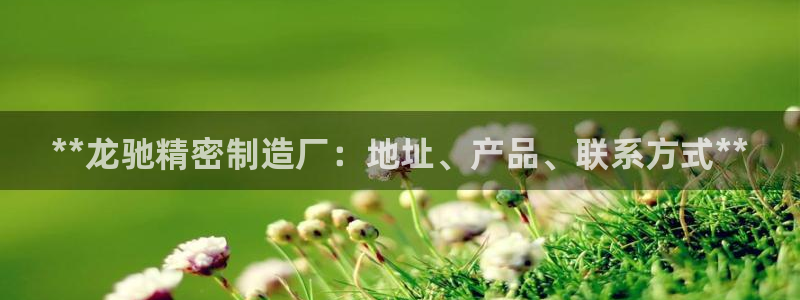 彩神购彩-购彩大厅入口老版：**龙驰精密制造厂：地址、产品、联系方式**