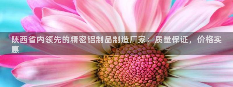 彩神vii购彩l心：陕西省内领先的精密铝制品制造厂家：质量保证，价格实
惠