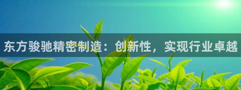 彩神邀请码:00-00-3267：东方骏驰精密制造：创新性，实现行业卓越