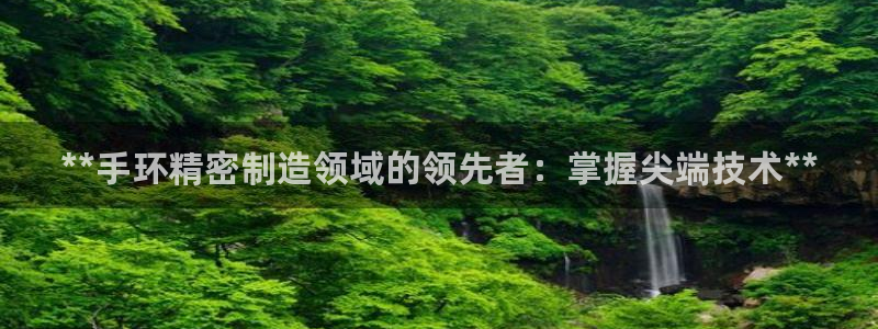 彩神vll官网在线登录：**手环精密制造领域的领先者：掌握尖端技术**