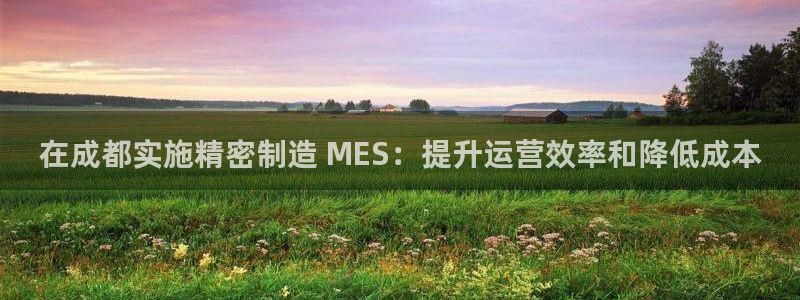 彩神ll能赚钱吗：在成都实施精密制造 MES：提升运营效率和降低成本