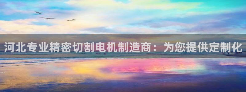 彩神v下载安装：河北专业精密切割电机制造商：为您提供定制化