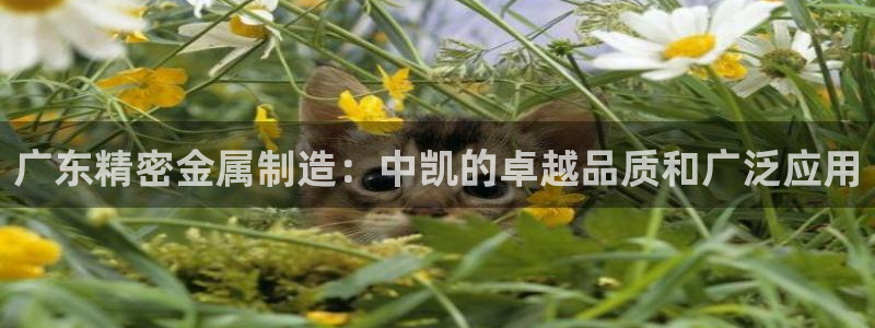 新版彩神v8登录不上去：广东精密金属制造：中凯的卓越品质和广泛应用