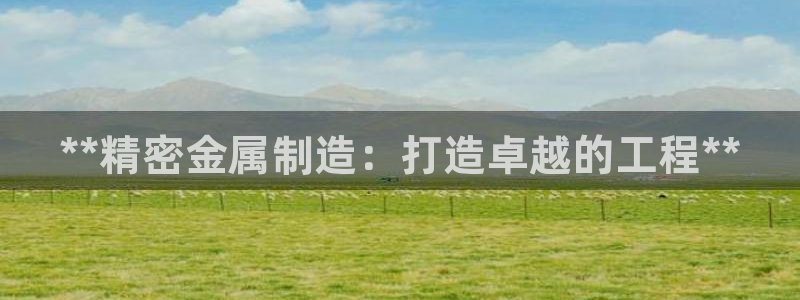 在彩神网输了六万多怎么拿回来：**精密金属制造：打造卓越的工程**