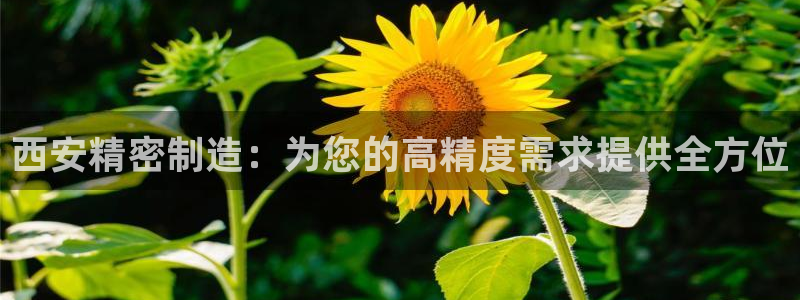 彩神官方登录：西安精密制造：为您的高精度需求提供全方位