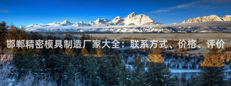 彩神vlll游戏特色：邯郸精密模具制造厂家大全：联系方式、价格、评价