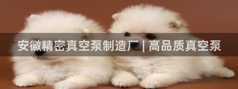 彩神v8首页：安徽精密真空泵制造厂 | 高品质真空泵