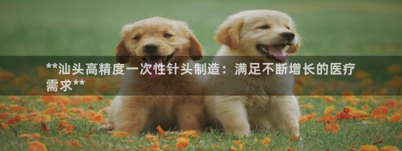 彩神V集团有限公司：**汕头高精度一次性针头制造：满足不断增长的医疗
需求**