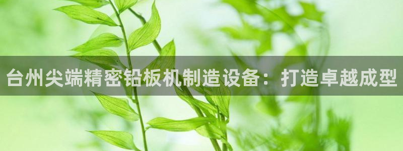 彩神v8官网版：台州尖端精密铅板机制造设备：打造卓越成型