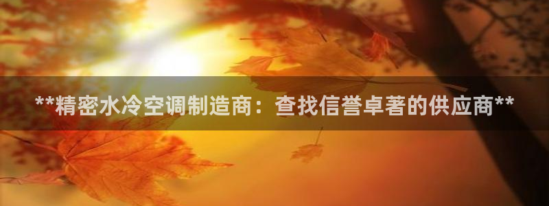 v大发彩神8iii：**精密水冷空调制造商：查找信誉卓著的供应商**