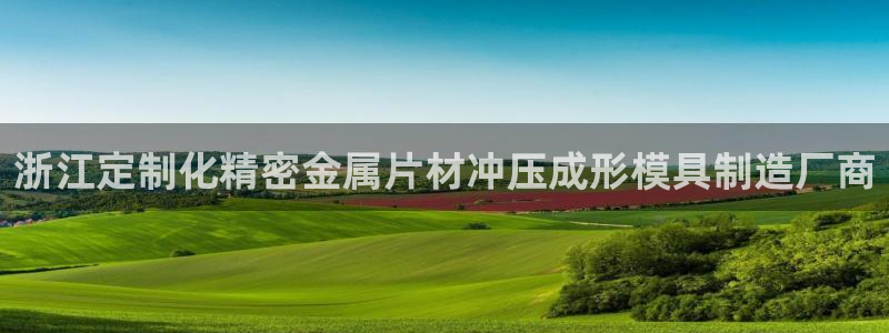彩神平台可以破解吗：浙江定制化精密金属片材冲压成形模具制造厂商