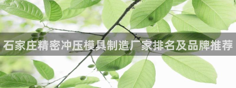 彩神VII官方版：石家庄精密冲压模具制造厂家排名及品牌推荐