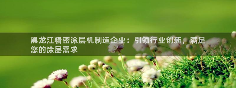 彩神8官网版是正规的吗：黑龙江精密涂层机制造企业：引领行业创新，满足
您的涂层需求