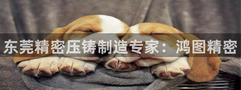 彩神Vll：东莞精密压铸制造专家：鸿图精密