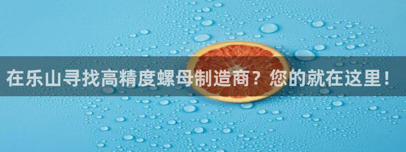 所有彩神购买首页都一样吗：在乐山寻找高精度螺母制造商？您的就在这里！