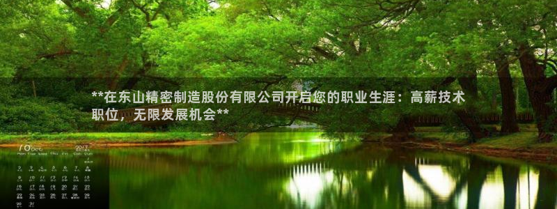 彩神ix平台：**在东山精密制造股份有限公司开启您的职业生涯：高薪技术
职位，无限发展机会**