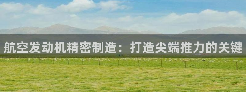 彩神争霸平台：航空发动机精密制造：打造尖端推力的关键