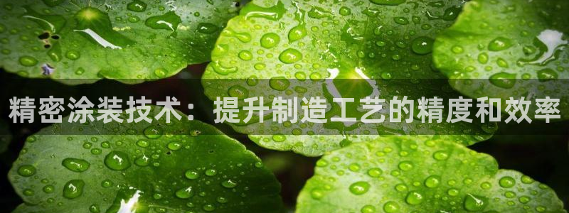 彩神ix官网：精密涂装技术：提升制造工艺的精度和效率