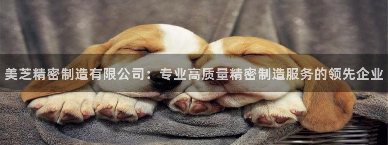 彩神viii下载安卓