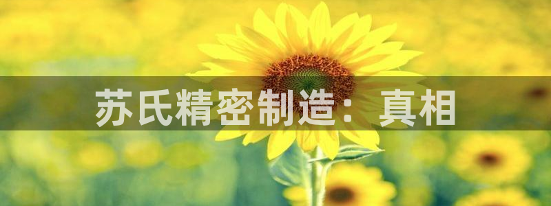 有谁知道彩神争霸的网址
