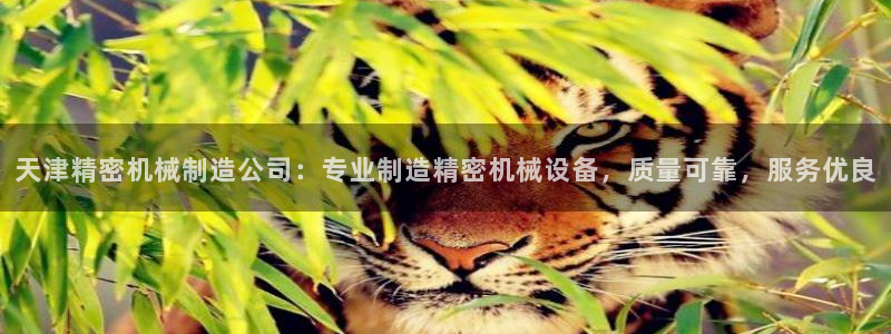 彩神V8有限公司