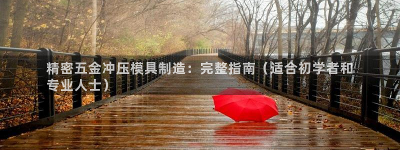 彩神ix官网是哪个公司的：精密五金冲压模具制造：完整指南（适合初学者和
专业人士）