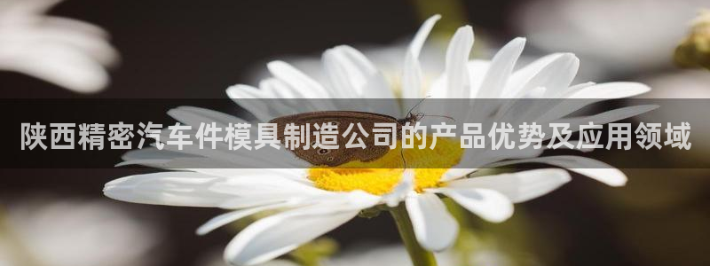 彩神输的钱是赌博还是诈骗：陕西精密汽车件模具制造公司的产品优势及应用领域
