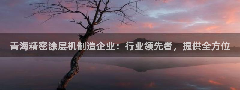彩神v8客户端：青海精密涂层机制造企业：行业领先者，提供全方位
