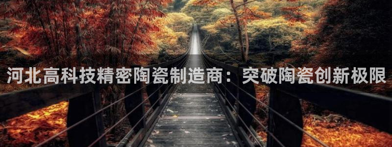 彩神平台注册登录：河北高科技精密陶瓷制造商：突破陶瓷创新极限