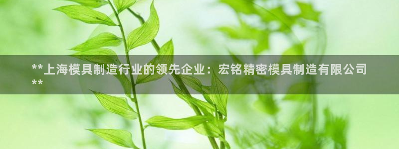 彩神赢钱了吗：**上海模具制造行业的领先企业：宏铭精密模具制造有限公司
**