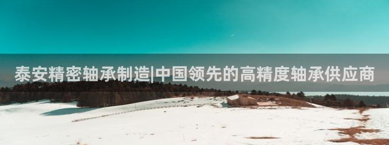 彩神旗下有哪些平台：泰安精密轴承制造|中国领先的高精度轴承供应商