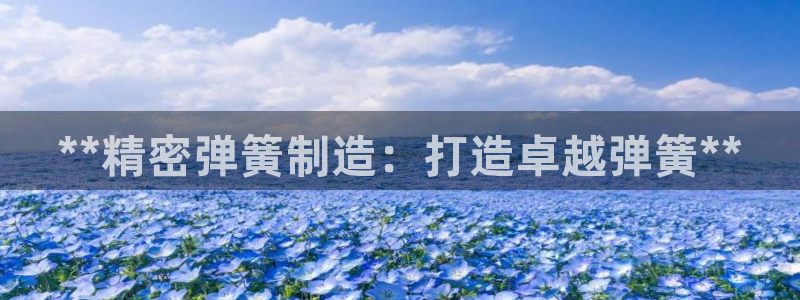 彩神赢钱了吗：**精密弹簧制造：打造卓越弹簧**