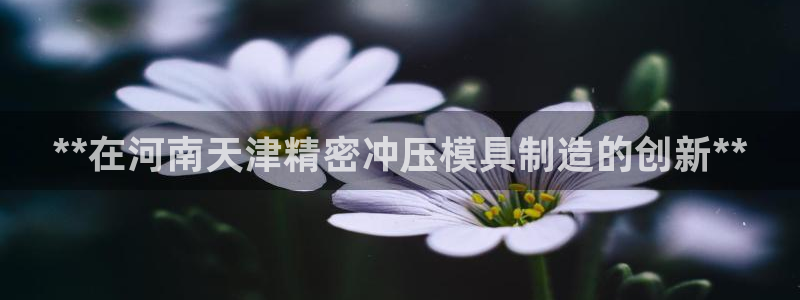彩神v8平台正规吗：**在河南天津精密冲压模具制造的创新**