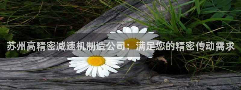 彩神v下载安装：苏州高精密减速机制造公司：满足您的精密传动需求